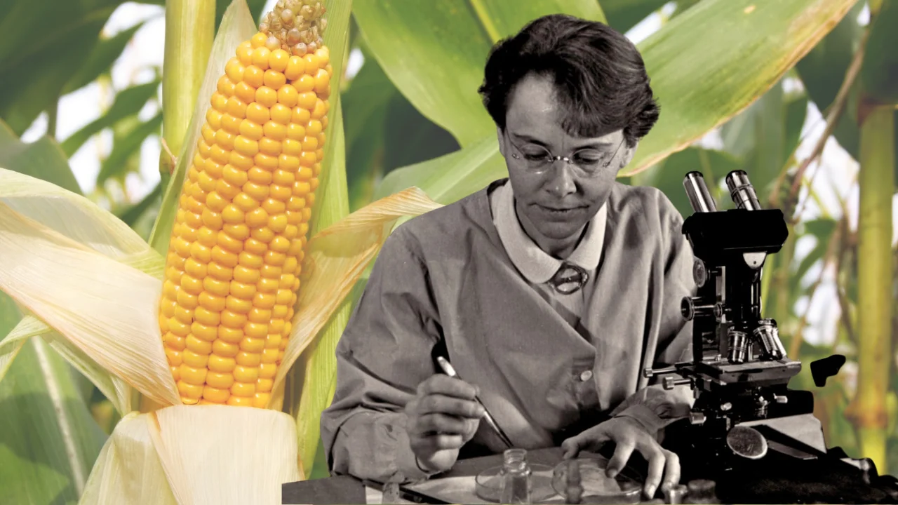 The Genetic Genius: How Barbara McClintock Changed Science