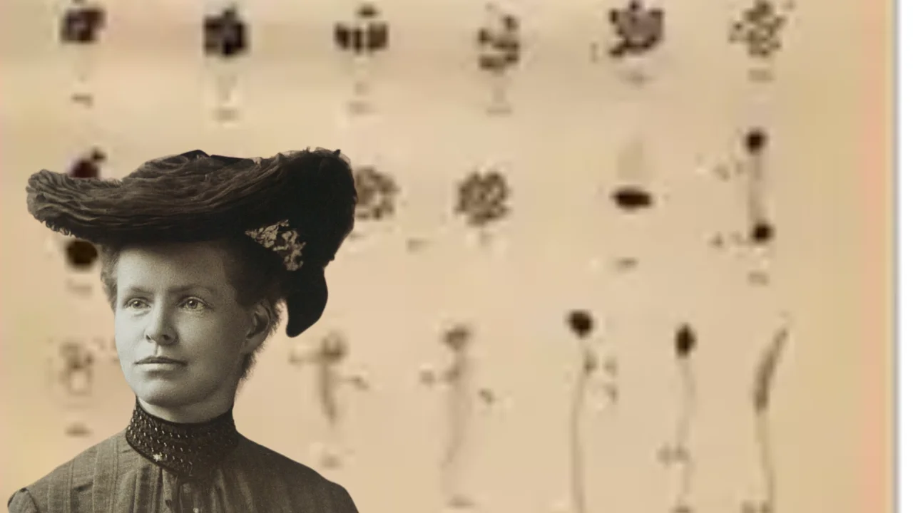 Nettie Stevens’ Story: Passion, Humility & Persistence